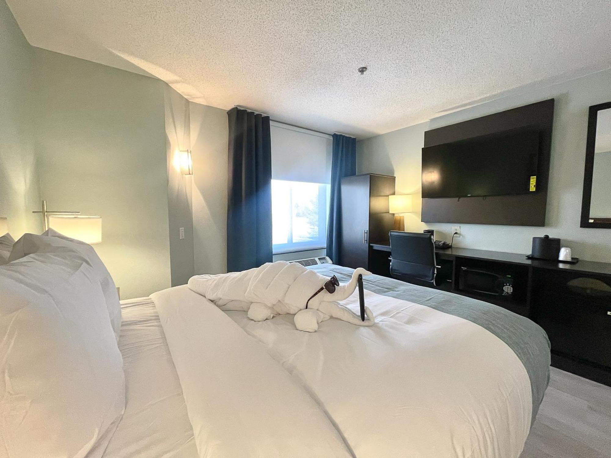 Wingate By Wyndham Salisbury Hotel Eksteriør billede